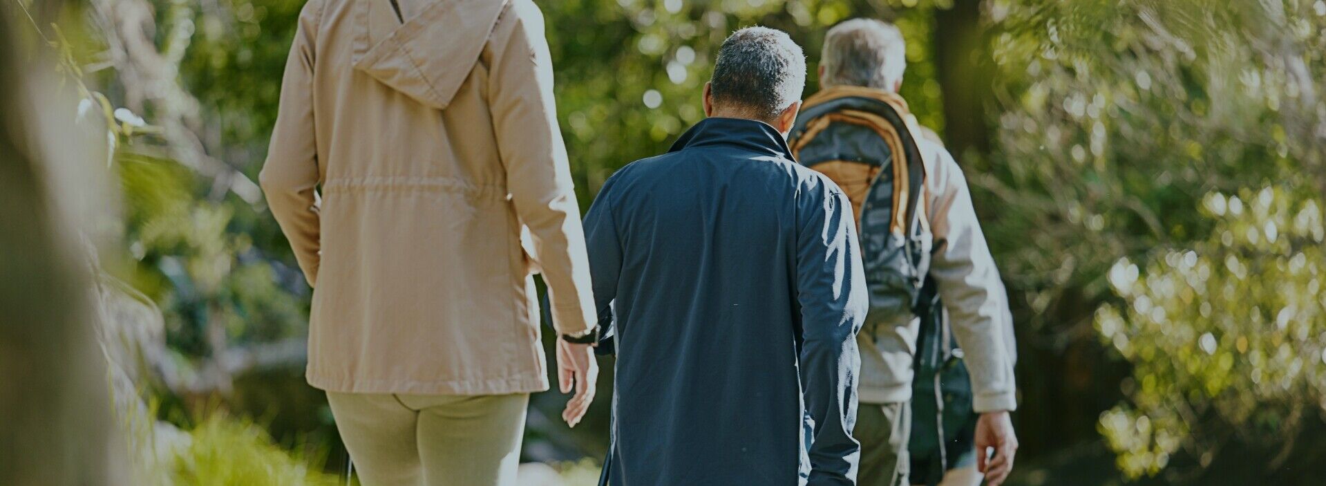Zwei Männer und eine Frau beim Wandern in der Natur